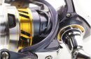 Daiwa Regal  LT Sondermodell