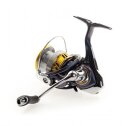 Daiwa Regal  LT Sondermodell