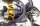 Daiwa Regal  LT Sondermodell