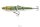 Daiwa Prorex Joint BT 20cm