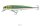 Daiwa Prorex PX Minnow 16cm