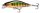 Daiwa Prorex Flat Minnow 50SS