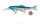 Daiwa Prorex Hybrid Minnow 13,5cm