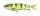 SavageGear 4Play V2 Swim&Jerk Slow Sinking