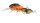 SavageGear 3D Crucian Crank 6,4cm 22gr