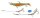 Spro Pike Fighter 1x7 Shad Stinger with Spike Gr.1 18kg 8cm