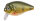 IronClaw  DOIYO  Ishi 65 floating
