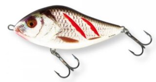 Salmo Slider sinking 10cm Wounded Real Grey Shiner