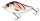 Salmo Slider sinking 10cm Wounded Real Grey Shiner
