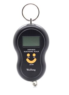 Elektronische Waage