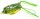 Behr Trendex- Frog 4,5cm
