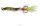 Cormoran Toro S2 Mini-Blinker 4cm 5,0gr