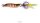 Cormoran Toro S2 Mini-Blinker 4cm 5,0gr
