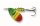 Mepps Aglia Tiger Classic Spinner