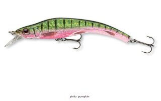 Team Cormoran Miniwatu SD90