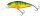 Salmo Perch  Deep Runner floating 8cm 14g