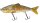 Fladen MaxximusPredat Multijointed Jake12cm 19g sinking