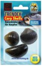 Behr Trendex Carp Shells Muscheln
