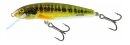 Salmo Floating Minnow 6 cm 4gr Holo Real