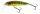 Salmo Floating Minnow 6 cm 4gr Holo Real
