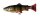 Savage Gear 4D Line Thru Pulsetail Trout 16cm 51g SS
