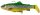 Savage Gear 4D Trout Rattle Shad 12,5cm 35g Fire Trout
