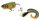 Rapala X-Rap Otus 17cm 40g