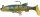 Spro Super Natural Perch 20g 10cm 2Stck