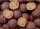 Mivardi Rapid Boilies Excellent Carp Goulash