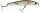 IronClaw DOIYO Apace M 50 TBS sinking