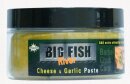 Dynamite Baits Big Fish River  Cheese&Garlic Paste 250g