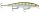 Rapala Shadow Rap 7cm SDR07