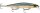Rapala Shadow Rap 11cm SDR11 Jerkbait