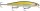 Rapala Shadow Rap 11cm SDR11 Jerkbait