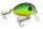 IronClaw DOIYO Ishi XS 32  floating