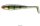 ProRex Micro Shad 45DF 45mm 8Stck