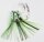 Behr Norway Octopus Rig Gr.5/0 0,65mm 1,50m