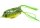 Behr Trendex- Frog 5,5cm