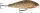 Rapala Super Shadow Rap 11cm 38g