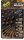 FOX Edges Drop Off Heli Buffer Beads Camo