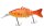 Fladen Maxxiumus Predator Multijointed Ed 14g 110mm