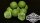 Mivardi Rapid Boilies Easy Catch Garlic&Chili 950g