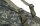 Mivardi Rod holdall Multi Camo 1,30m