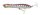 Savage Gear  Panic Prey105 10,5cm 16g F