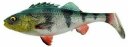 SavageGear 4D Perch Shad 12,5cm 20g