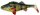 SavageGear 4D Perch Shad 12,5cm 20g