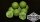 Mivardi Rapid Boilies Easy Catch Garlic+Chilli 3,3kg 16mm