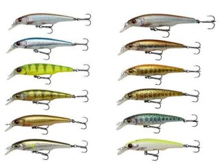 SavageGear Gravity Twitch SR 9,5cm 15g suspending Roach
