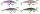 IronClaw DOIYO Apace M 50 sinking
