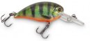 IronClaw DOIYO Apace C34 SRF